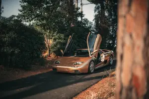 Lamborghini Diablo Oro Elios - Foto - 19