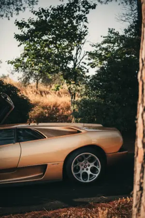 Lamborghini Diablo Oro Elios - Foto