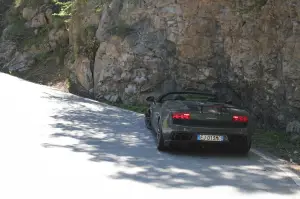 Lamborghini Gallardo LP570-4 Spider Performante - 100