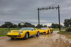 Lamborghini Miura 50 anni- conclusione delle celebrazioni