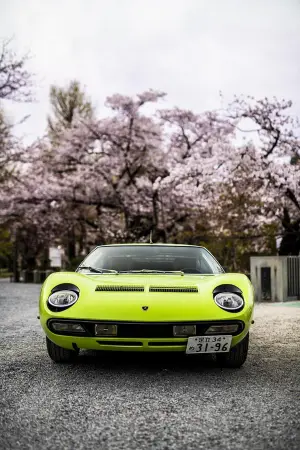 Lamborghini Miura SV 1971 - 17