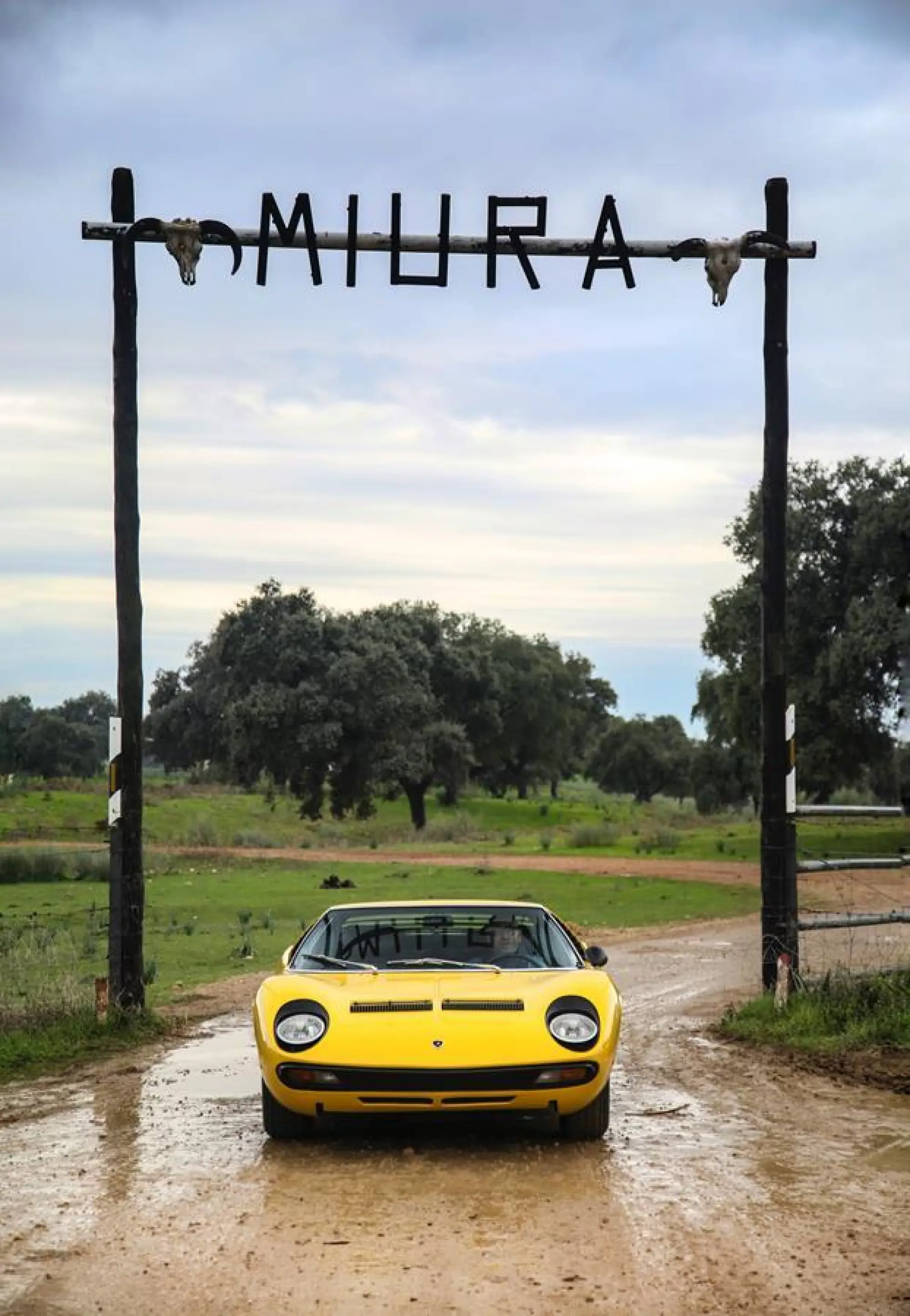Lamborghini Miura SV 1971 - 1