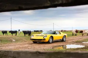 Lamborghini Miura SV 1971 - 5