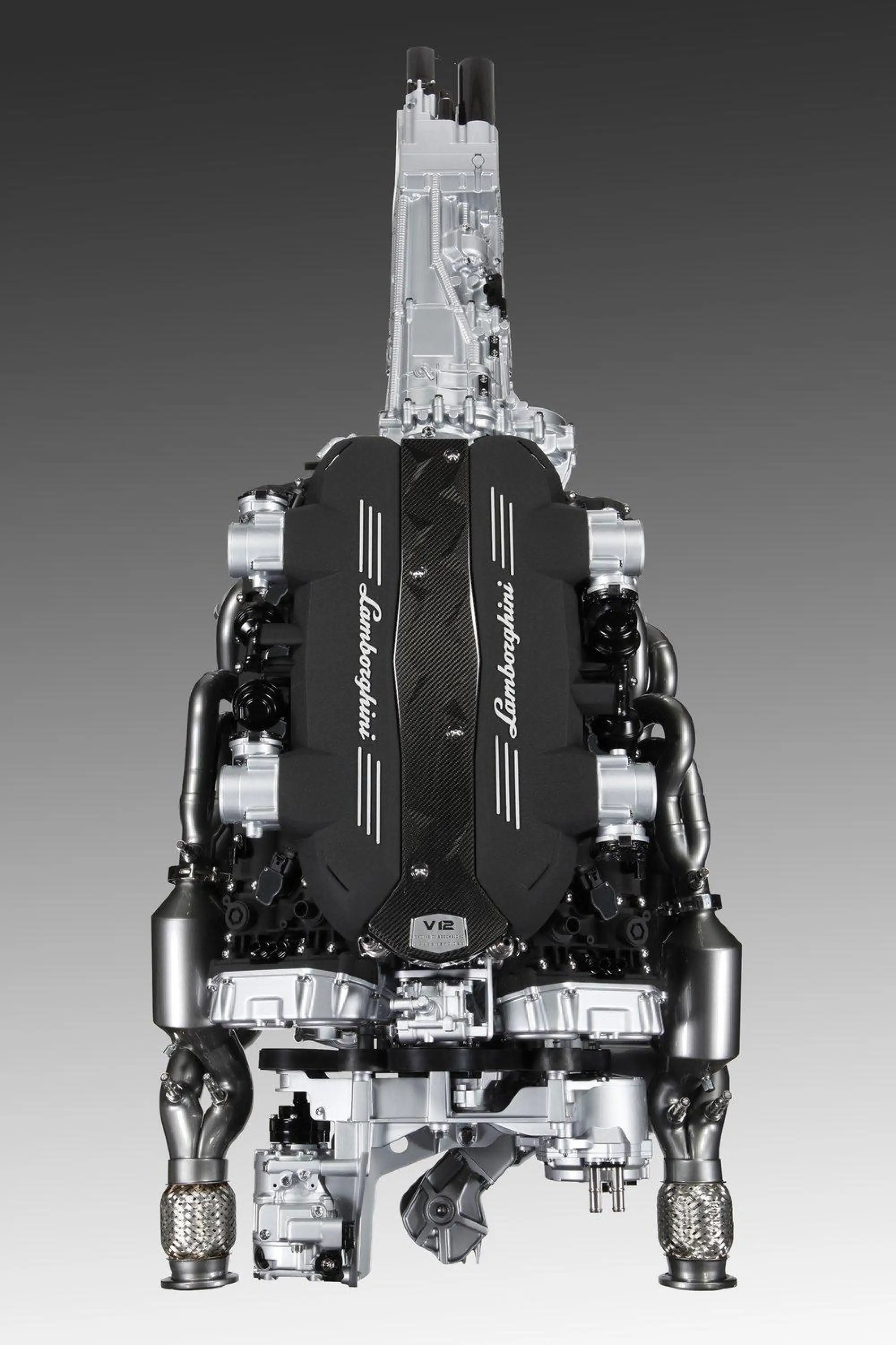 Lamborghini New V12 Motore - 1