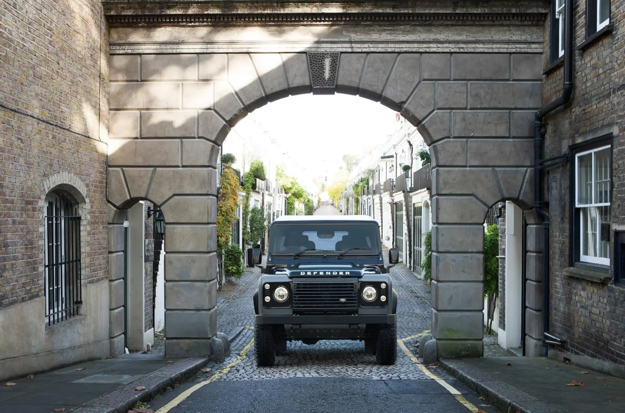 Land Rover Defender special edition - 9