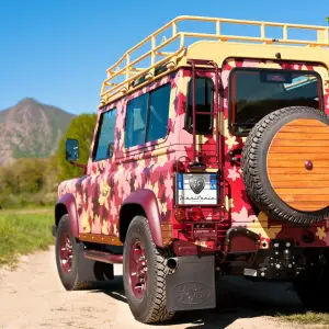 Land Rover Defender Vineyard - 2