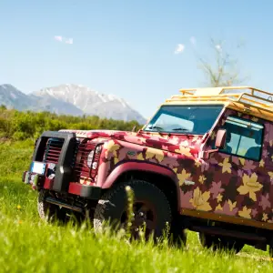 Land Rover Defender Vineyard - 4