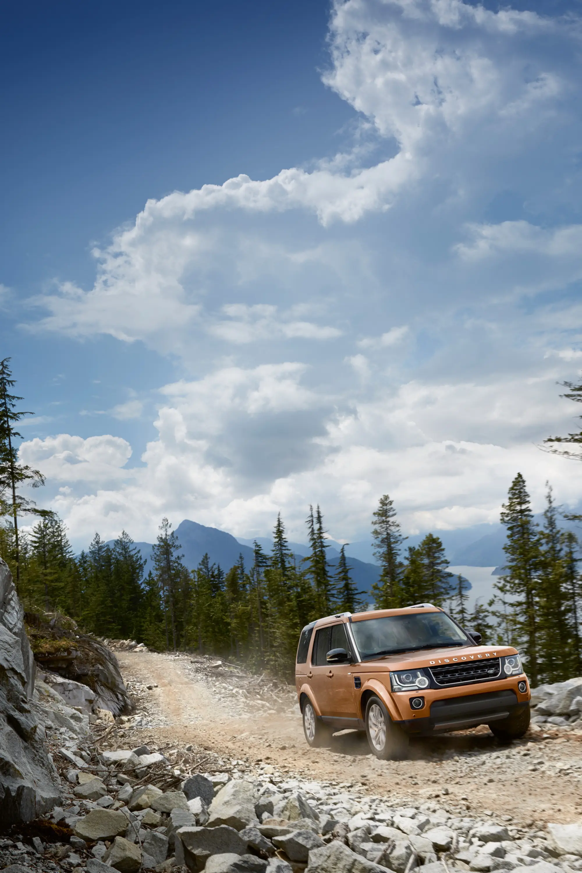 Land Rover Discovery Landmark e Graphite - 20