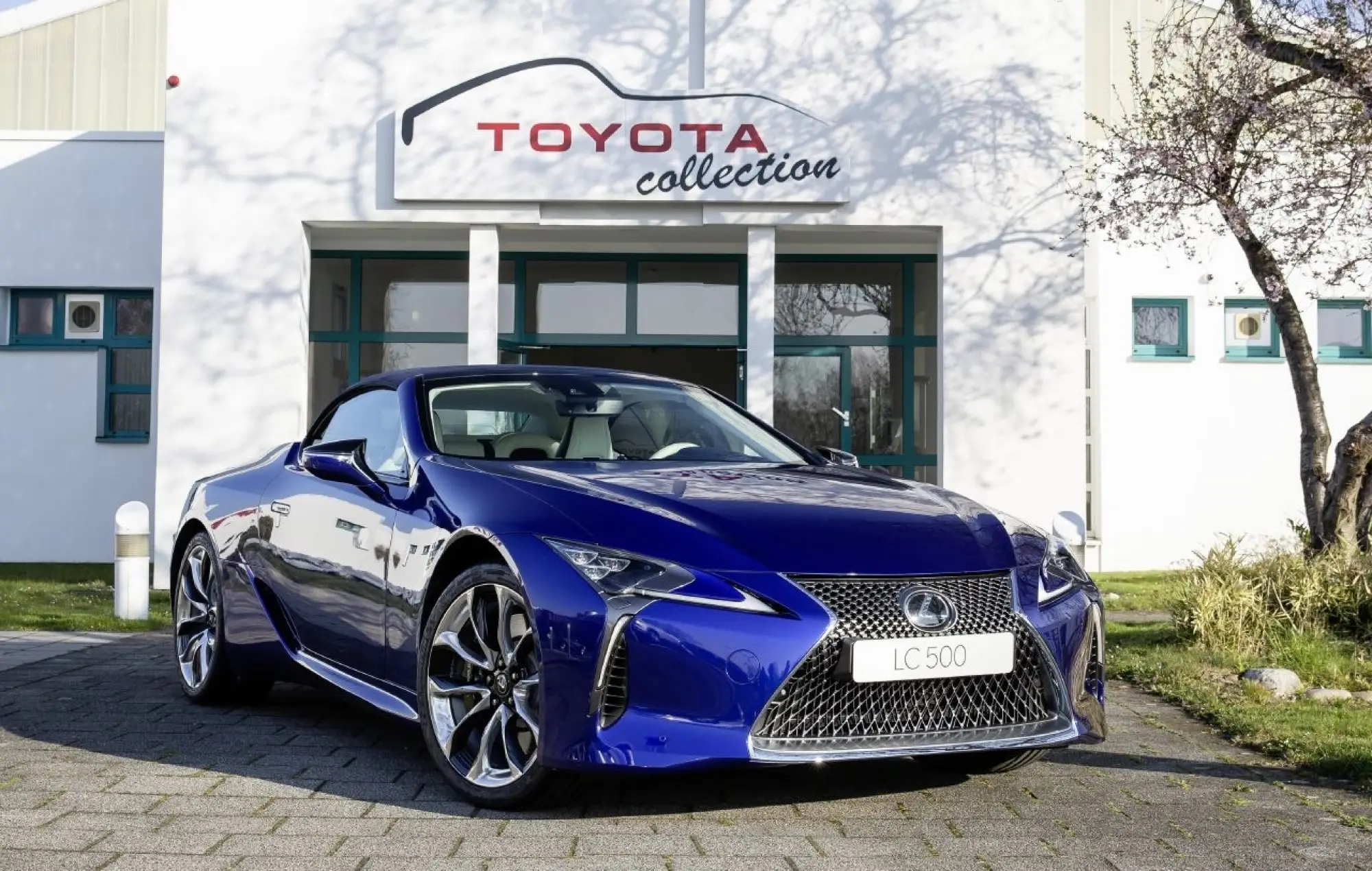 Lexus LC 500 Convertible Regatta Edition - Foto - 5