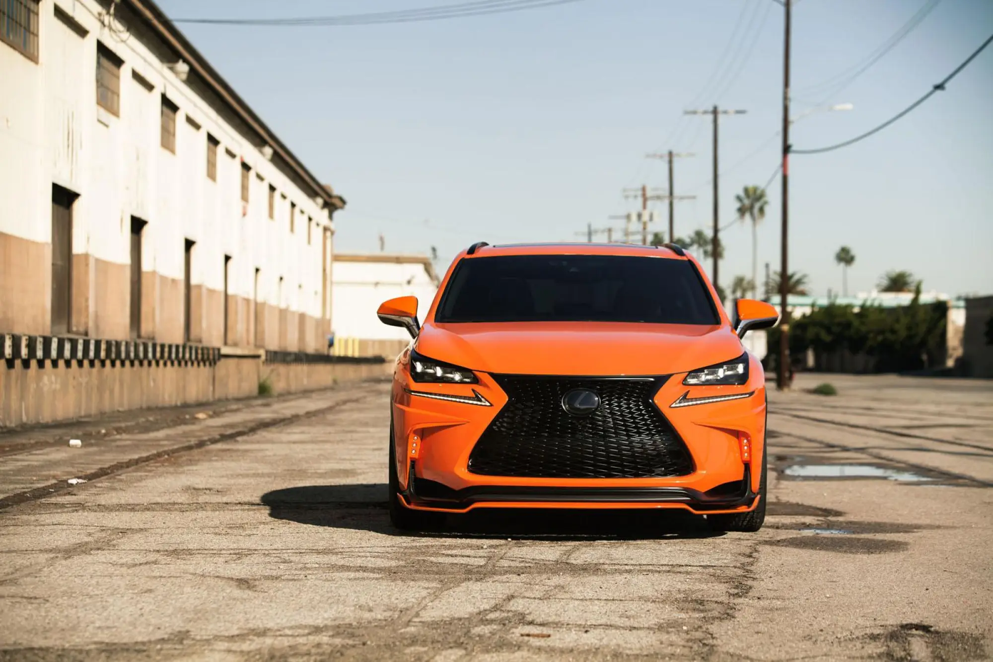 Lexus NX 200t F SPORT by 360 Elite Motorworks - 23