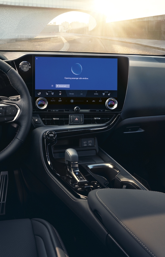 Lexus NX - Infotainment Link Pro