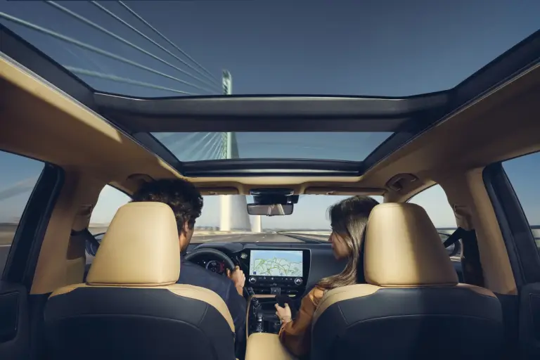 Lexus NX - Infotainment Link Pro - 16