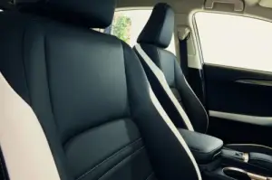 Lexus NX Special Edition Sport - 8