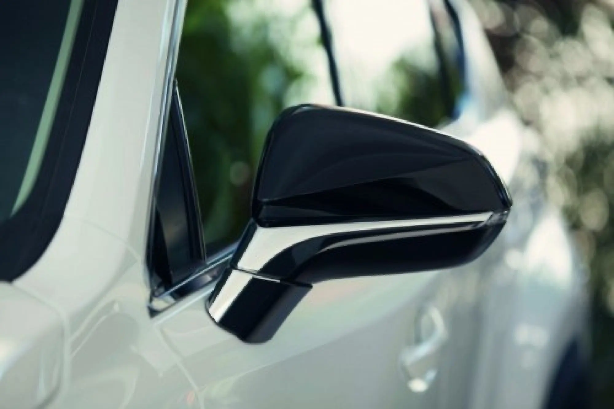 Lexus NX Special Edition Sport - 9
