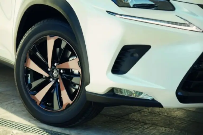 Lexus NX Special Edition Sport - 10