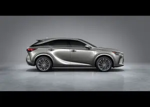 Lexus RX 2022 - 142