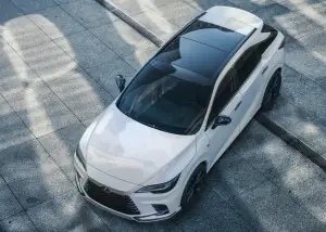 Lexus RX 2022 - 32