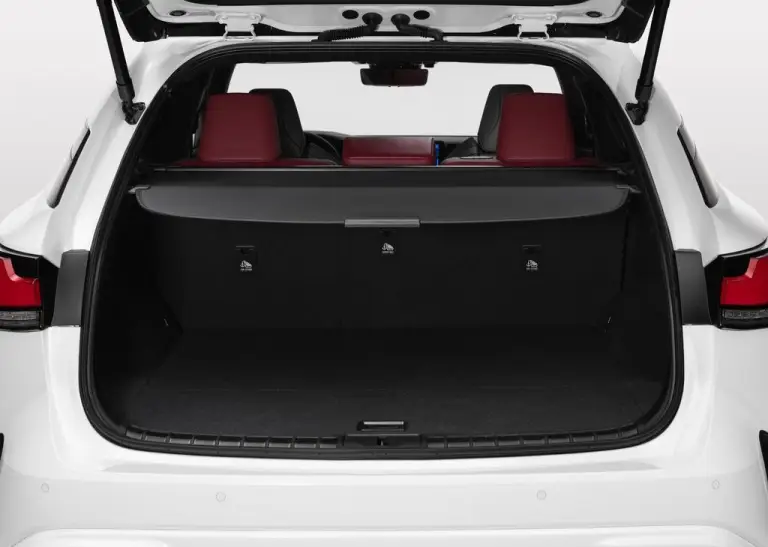 Lexus RX 2022 - 16