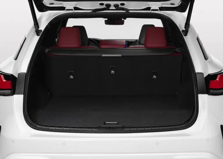 Lexus RX 2022 - 21