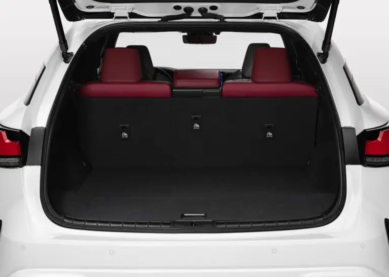 Lexus RX 2022 - 20