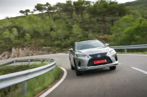 Lexus RX Hybrid 2020 - 10