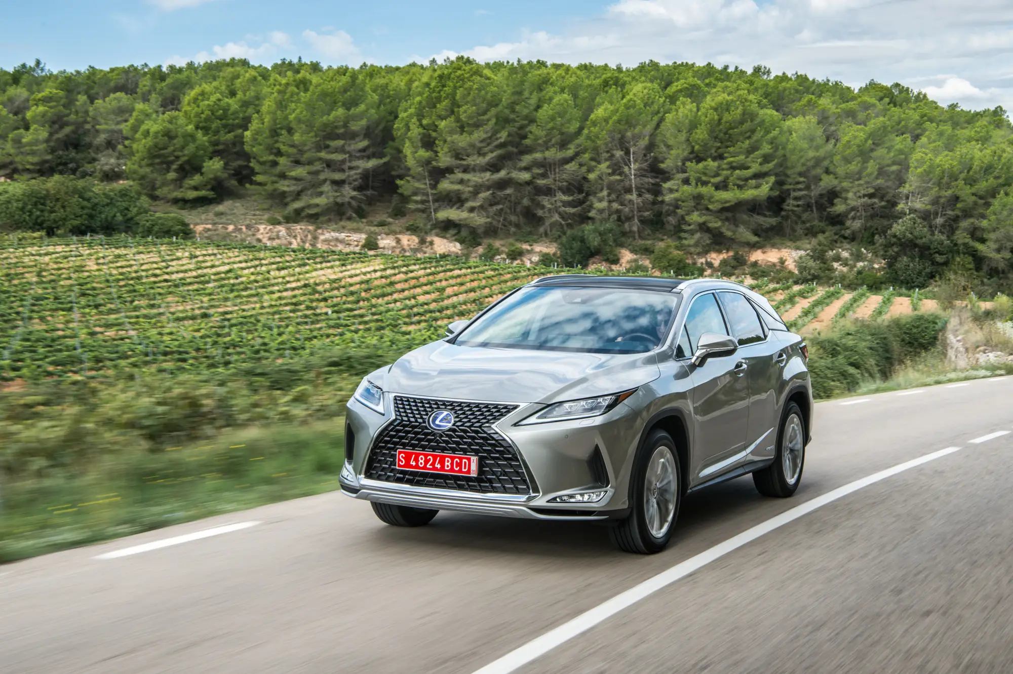 Lexus RX Hybrid 2020 - 12