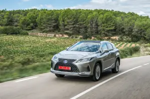 Lexus RX Hybrid 2020 - 12