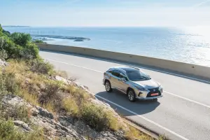 Lexus RX Hybrid 2020 - 16