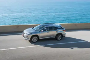 Lexus RX Hybrid 2020 - 17