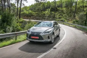 Lexus RX Hybrid 2020 - 19