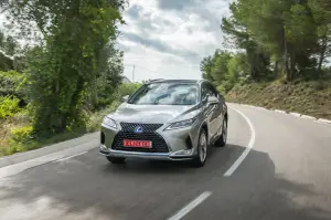 Lexus RX Hybrid 2020 - 21