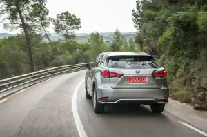 Lexus RX Hybrid 2020 - 22