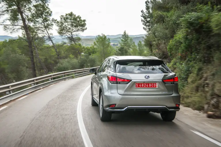Lexus RX Hybrid 2020 - 22