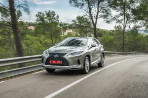 Lexus RX Hybrid 2020 - 23