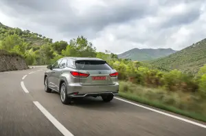 Lexus RX Hybrid 2020 - 24