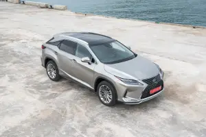 Lexus RX Hybrid 2020 - 30