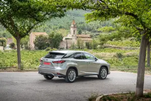 Lexus RX Hybrid 2020 - 37