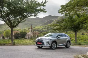 Lexus RX Hybrid 2020 - 41