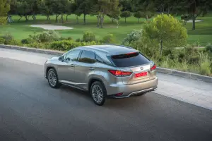 Lexus RX Hybrid 2020 - 44