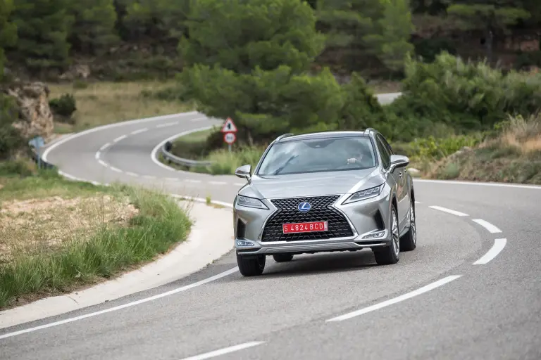 Lexus RX Hybrid 2020 - 48