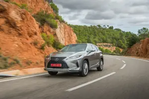 Lexus RX Hybrid 2020 - 6