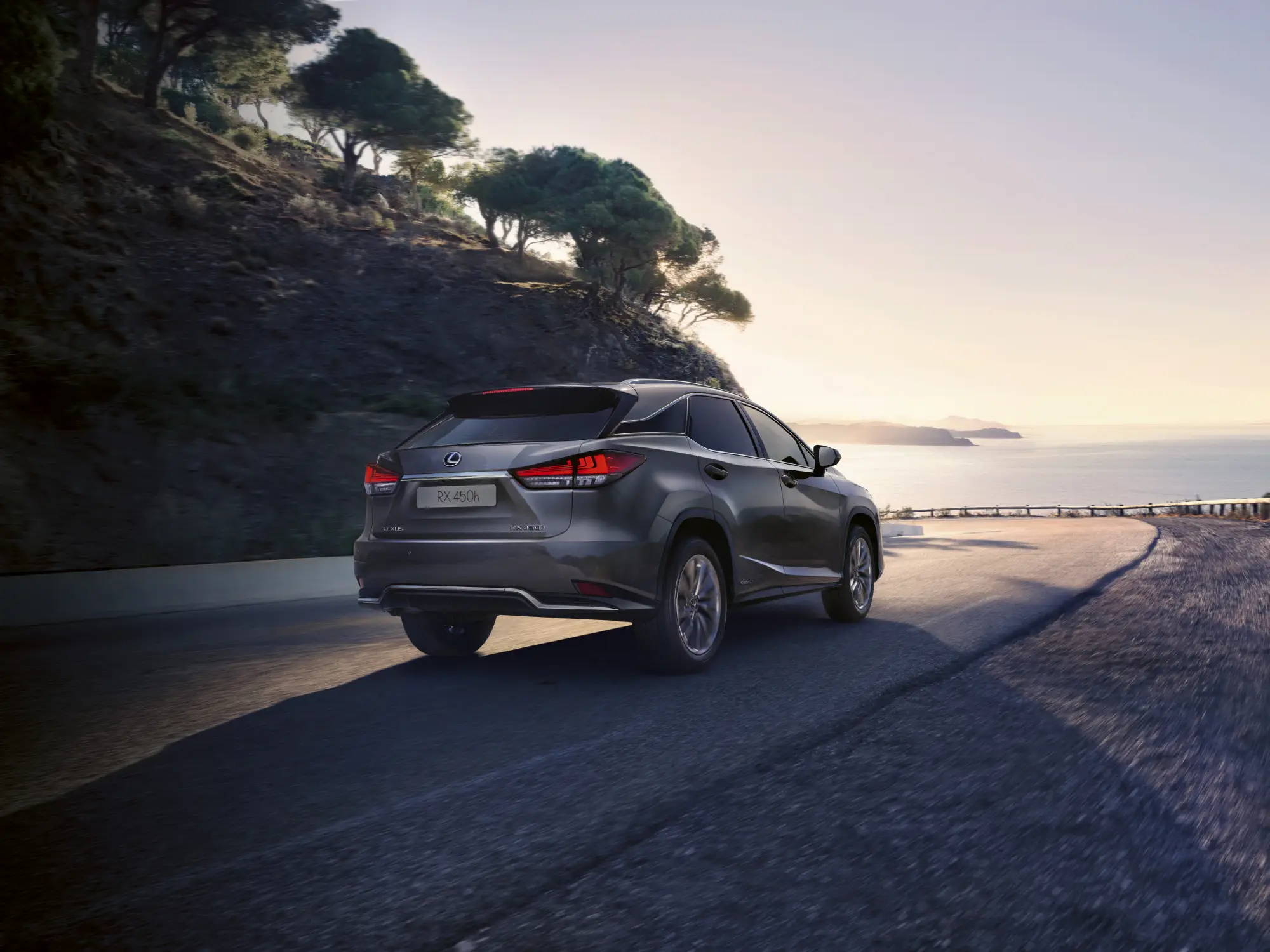 Lexus RX Hybrid 2020 - 71