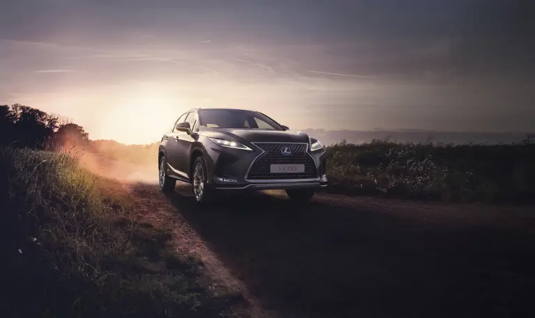 Lexus RX Hybrid 2020 - 73