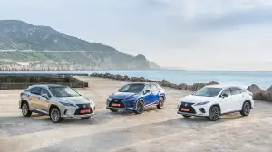 Lexus RX Hybrid 2020 - 75