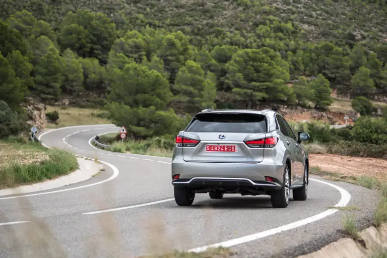 Lexus RX Hybrid 2020 - 81