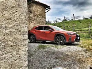 Lexus UX 250h FSPORT 2019