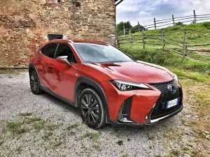 Lexus UX 250h FSPORT 2019 - 10