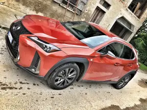 Lexus UX 250h FSPORT 2019 - 12