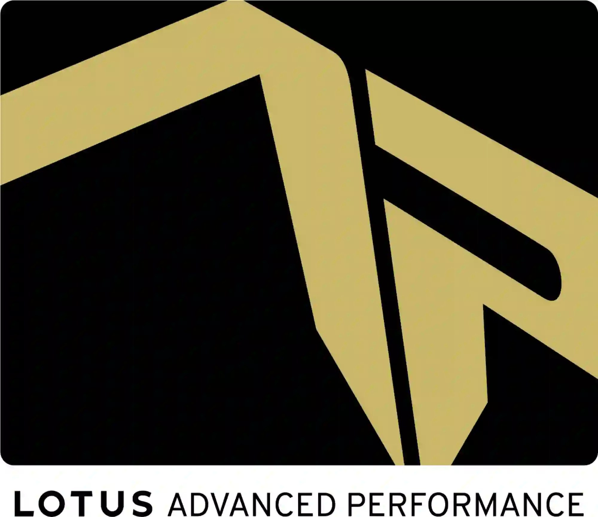 Lotus Emira GT4 - Foto - 22