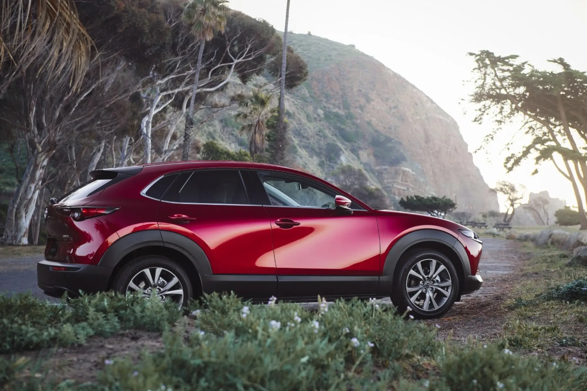 Mazda CX-30 2021 - Foto ufficiali - 2